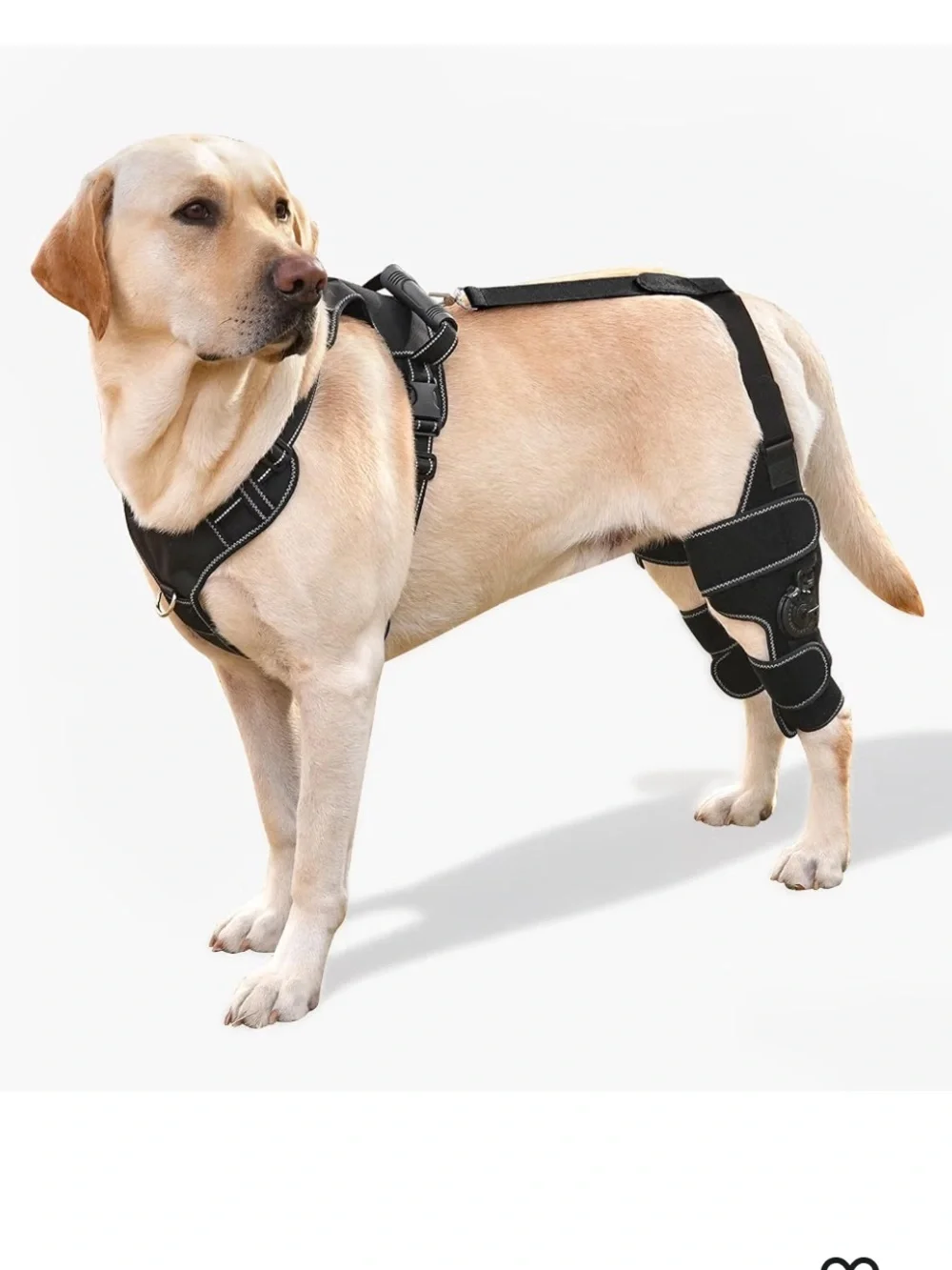 NWT Furwell Dog Knee Brace Adjustable Support ACL & CCL Tear Recovery, Post-Su